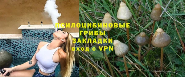 гидра Беломорск