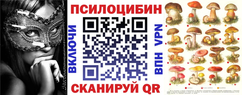 Псилоцибиновые грибы GOLDEN TEACHER KRAKEN ССЫЛКА Чернушка